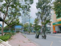 Bán Nhà Mặt Phố Lê Hồng Phong Gần An Dương Vương P3, Quận 5 (Dt: 6,2X20M 2 Tầng) Giá Bán 57 Tỷ