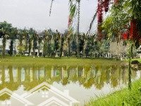 Bán Căn Biệt Thự View Suối 1116M2 Khu A Xanh Villas - Hướng Đông Nam - Giá 70 Triệu/M2