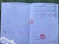 Bán Lô Góc D12/N7 Vị Trí Đắc Địa Tại Phú Tân, Thủ Dầu, Một Cơ Hội Đầu Tư Siêu Lợi Nhuận