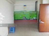 Cho Thuê Cc Hồng Hà Eco City, 6,5 Triệu, 53M2, 2 Phòng Ngủ+ 1 Vệ Sinh Tứ Hiệp, Thanh Trì, Hà Nội Hot!