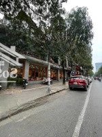 Bán Cực Gấp, Biệt Thự Lô Góc Hoàng Liệt, View Công Viên Tuyệt Đẹp, Mua Ở, Kinh Doanh Tuyệt Vời