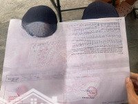 2,95 Tỷ, Sở Hữu Lô Đất Hoa Hậu, Mặt Tiền 4M7 Đường Ô Tô, Tại Bắc Hồng Đông Anh