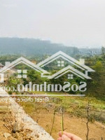 Cần Chuyển Nhượng 7200 M2 Đất Làm Sinh Thái Tại Tiến Xuân Thạch Thất Hà Nội