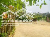Cần Chuyển Nhượng 7200 M2 Đất Làm Sinh Thái Tại Tiến Xuân Thạch Thất Hà Nội