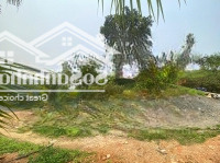 Cần Chuyển Nhượng 7200 M2 Đất Làm Sinh Thái Tại Tiến Xuân Thạch Thất Hà Nội
