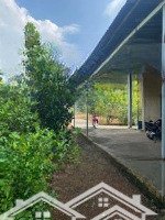 Bán Lại Vườn Bưởi 2 Sào 5 Giá Bình Dương - Giá Bán: 680 Triệu