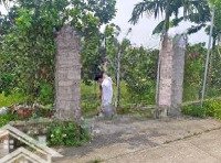 Bán Lại Vườn Bưởi 2 Sào 5 Giá Bình Dương - Giá Bán: 680 Triệu