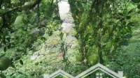 Bán Lại Vườn Bưởi 2 Sào 5 Giá Bình Dương - Giá Bán: 680 Triệu