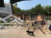 Lô Đất Hẻm 13 Đường Số 28, Cát Lái, Diện Tích: 68M2 Ngang 11M, Giá Bán 4,1 Tỷ, Shr