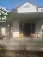 Cần Bán Vườn Cao Su Vị Trí Đẹp, Mặt Tiền Nhựa 752, Có 100M2 Thổ Cư