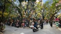 Nhà Dân Xây Phân Lô Ngõ 91 Nguyễn Chí Thanh Thông Sang Huỳnh Thúc Kháng 41M2