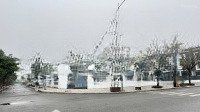 Bán Bất Động Sản Vị Trí Vàng - 295M2, 3 Mặt Tiền, Mặt Tiền 12M, Giá Chỉ 42 Tỷ