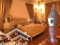 Chính Chủ Căn Bán Biệt Thự Mặt Đường Đôi Dãy K2 Ciputra - Tây Hồ - Hà Nội