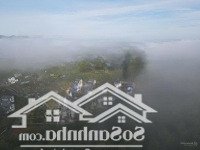 Sở Hữu Lô Đất 514M2 Lý Tưởng Làm Second Home - "Trốn Phố Về Rừng" Chỉ 3 Triệu Đồng/M2