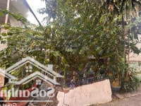 Chính Chủ Cần Bán Nền Thổ Cư 96M2, 980 Triệu,Ngay Đường Công Ty Lương Thực ,Phường 5,Tân An,Giá Thật