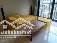 Cho Thuê Sunrise Riverside 1 Phòng Ngủđầy Đủ Nội Thất Giá Bán 9 Triệu Free Phí Quản Lý
