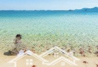 Bán Mảnh Đất Trung Tâm Chợ Đêm Phú Quốc, 415M2 Full Thổ Cư. Thích Hợp Làm Homestay. Liên Hệ: 0906 95 96 97