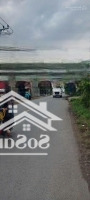 Bán Kho, Nhà Xưởng Mặt Tiền Đoàn Nguyễn Tuấn, Xã Qui Đức, Bình Chánh, Hồ Chí Minh, 3500M2 Có Thổ Cư