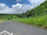 Hơn 1,75 Ha Thực Tế Hơn 2 Ha, Nguyên Ngọn Đồi Trồng Cà Phê, 2 Mặt Tiền, Đường Nhựa 6M Bằng Phẳng