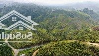 Hơn 1,75 Ha Thực Tế Hơn 2 Ha, Nguyên Ngọn Đồi Trồng Cà Phê, 2 Mặt Tiền, Đường Nhựa 6M Bằng Phẳng