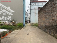 Bán Đất Thôn Ấp Trung, Tiền Phong, Mê Linh. Gần Trường Đh Tài Chính, Kdt Cienco 5