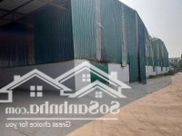 Cho Thuê Kho Xưởng 800M2 Mai Lâm, Đông Anh, Hà Nội
