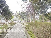 Lk Kđt Vân Canh Hoài Đức 169M2 19.5Tỷ - Vành Đai 3.5 Giá Ven Đô