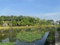 Lô Đất View Sông Vĩnh Bình, Giáp Tp. Hcm 460M2, Thổ Cư, Sổ Hồng Riêng, Xây Kho Xưởng, Biệt Thự Vườn