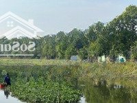 Lô Đất View Sông Vĩnh Bình, Giáp Tp. Hcm 460M2, Thổ Cư, Sổ Hồng Riêng, Xây Kho Xưởng, Biệt Thự Vườn