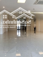 Tôi Cần Cho Thuê Mặt Phố Huỳnh Thúc Kháng 95M2 Xây 6 Tầng, Kinh Doanh Mọi Mô Hình, 60 Triệu/Th