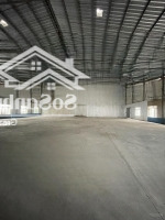 Cho Thuê Kho Xưởng 700M2, 1500M2 Gần Khu Cn Cao, Quận 9. Pccc Tự Động Nghiệm Thu