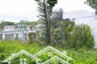 Mở Bán Đợt 3 Dự Án Cẩm Khê Central Park (Cẩm Khê Central Park - Phú Thọ)