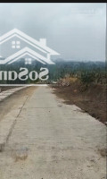 Cần Bán Đất Sổ Đỏ Riêng Thôn Chung Hoà - Xã Đắc Gềnh - Huyện Đắc Min. Đất Trồng Cây Lâu Năm