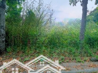 Bán Đất 85M2 - 5 X 17 Đường 12M Kdc Greenlife 13C, Phong Phú, Bình Chánh - Sổ Đỏ Cá Nhân. 5Tỷ200 Tl
