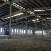 *Cho thuê kho xưởng*4200m2-8000m2 KCN Đức Hoà, Đức Hoà Hạ, Đức Hoà, Long An