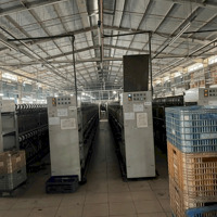 https://khoxuongmiennam.net/  Cho thuê Kho Xưởng 1.000m2 Bình Chánh. Đường xe tải lớn.