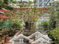 Bán Nhà Phố Hoàng Liệt, Hoàng Mai, Nở Hậu, Kinh Doanh Tốt, View Hồ