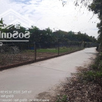 Bán Đất X. Phú Hữu, Nhơn Trạch, Đn 509M2 Có 300M2 Thổ