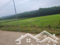 1.600M2 Đất Vườn Trong Dân Cư Tại Diên Xuân, Phân Được 3 Lô, Ngang 45M Đường Bê Tông Quy Hoạch 16M
