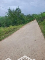 1.600M2 Đất Vườn Trong Dân Cư Tại Diên Xuân, Phân Được 3 Lô, Ngang 45M Đường Bê Tông Quy Hoạch 16M