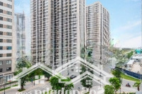 Cho Thuê Shophouse Ở Vinhomes Ocean Park