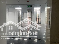 Cửa Hàng Phố Xã Đàn Mặt Tiền 6M Diện Tích 100M Thông Sàn