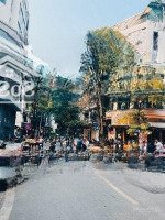 Bán Nhà 5.95Tỷ 4.6M Mặt Tiền Hồ Hoàng Cầu Phố Trần Quang Diệu Nhà 2 Tầng Cũ
