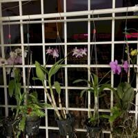 Bán nhà 3 tầng 3pn giá 1ty850 Phương Sơn Nha Trang 0985451850
