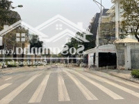 Chính Chủ Bán Biệt Thự Kđt Lideco,Diện Tích250M2 Xmặt Tiền16,2M, Vị Trí Lô Góc Đẹp, Gần Hồ Điều Hoà