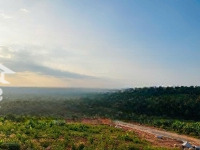 Cơ Hội Đầu Tư Đất Nền Đầu Vào Bảo Lộc Đón Sóng Hạ Tầng!