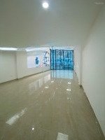 Cho Thuê Nhà Mp Trương Công Giai, Dịch Vọng Hậu. Thông Sàn, Thang Máy.diện Tích90M2X7,5T,Mặt Tiền6,5M 79 Triệu