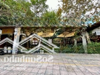 Cho Thuê Nhà Mặt Phố Nguyễn Thị Định 60M2X4 Tầng, Mặt Tiền 5M Phù Hợp Mọi Loại Hình Hình Doanh