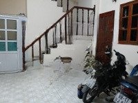 Siêu Phẩm Nhà Đẹp Giáp Bát - Lô Góc 2 Thoáng - 3 Bước Ra Phố - Giá Tốt