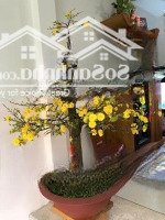 Bán Biệt Thự Đẹphẽm Xe Hơiđường Cách Mạng Tháng Tám, Tân Bình - 7.5Mx16M Vuông Vức - Giá Bán 19.5 Tỷ